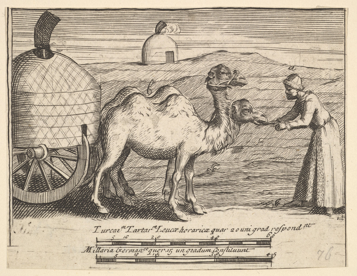 Two Dromedaries by William Hogarth, 1723–24