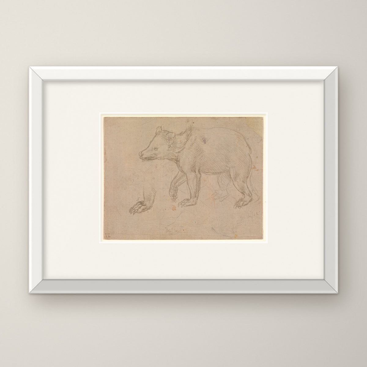 A Bear Walking – in a white frame