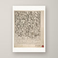 Characters and Caricaturas – unframed print
