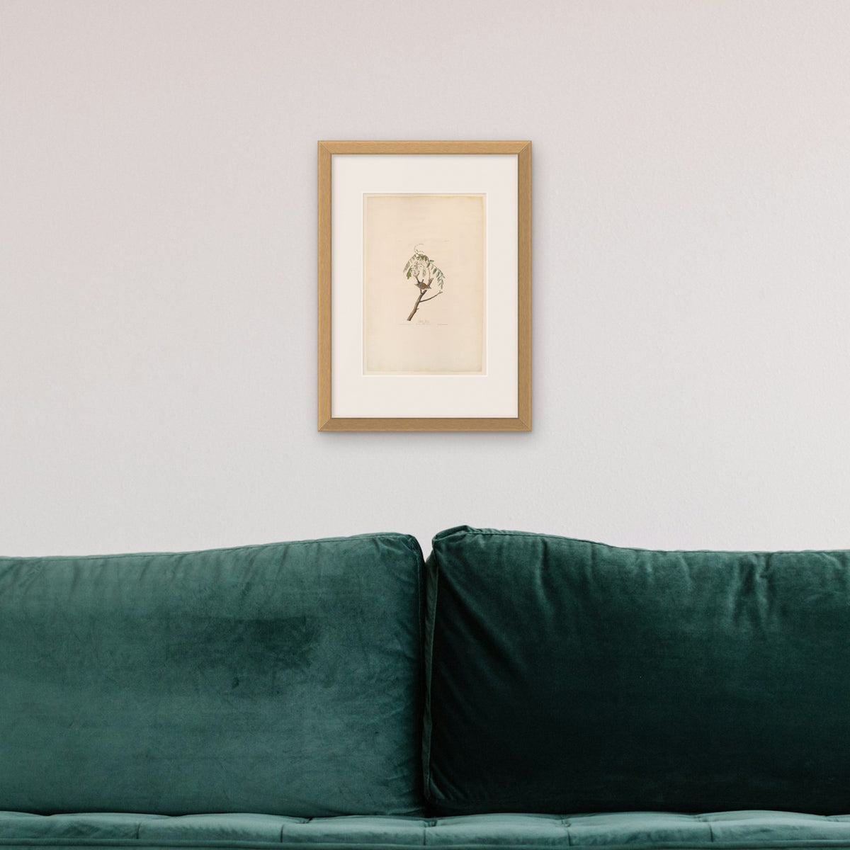 Chipping Sparrow – framed in a living room