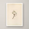 Chipping Sparrow – unframed print