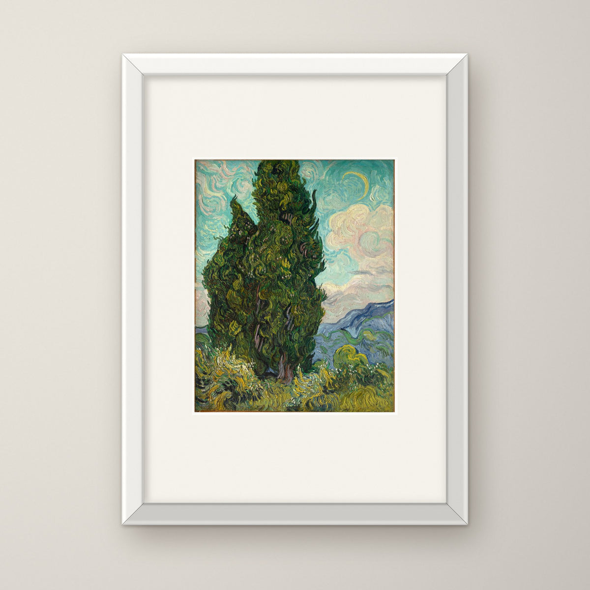 Cypresses – in a white frame