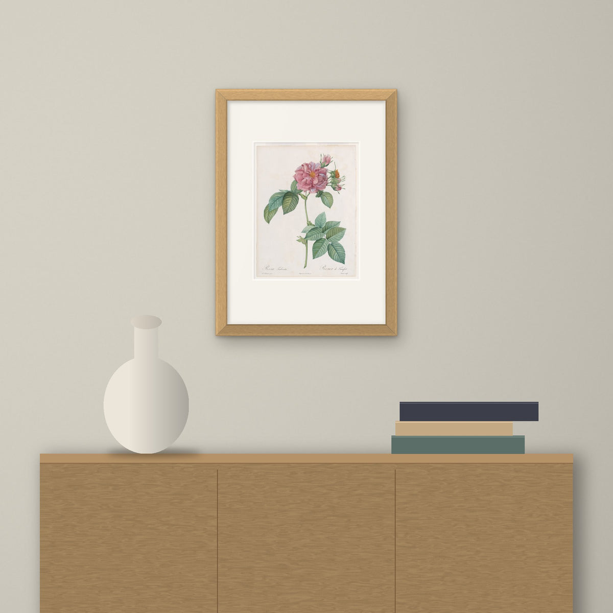 Empress Josephine Rose – framed on a wall above a sideboard