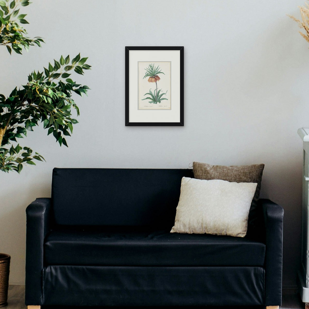 Fritillaria Imperialis – framed in a living room