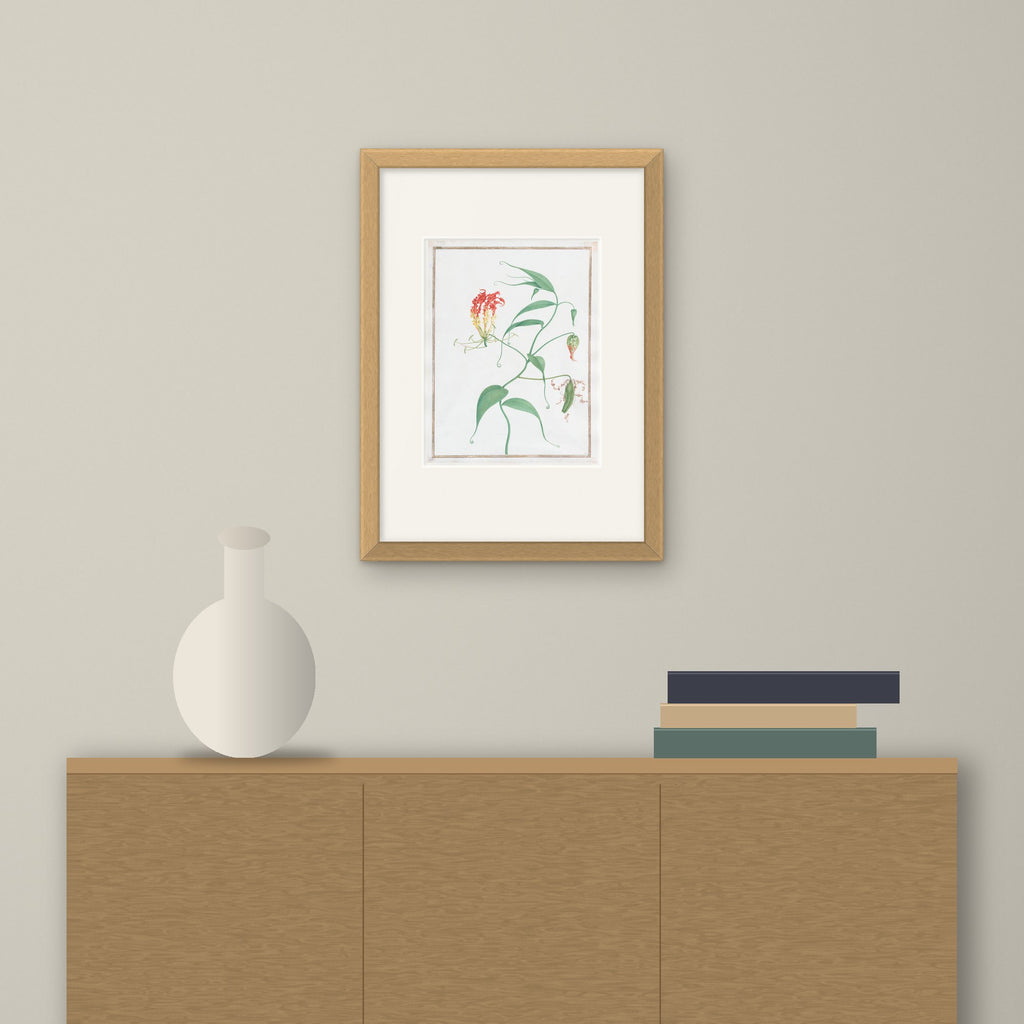 Gloriosa Superba – framed on a wall above a sideboard