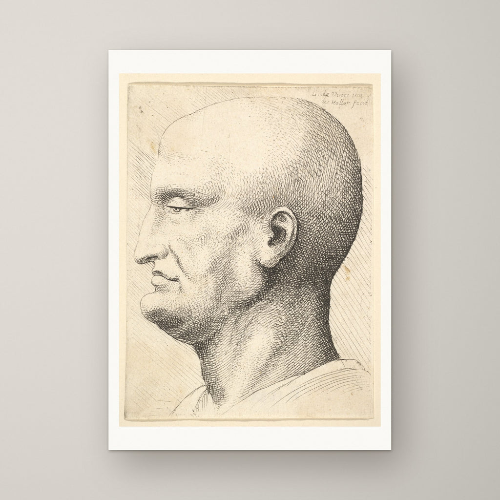 Head of a Bald Man – unframed print