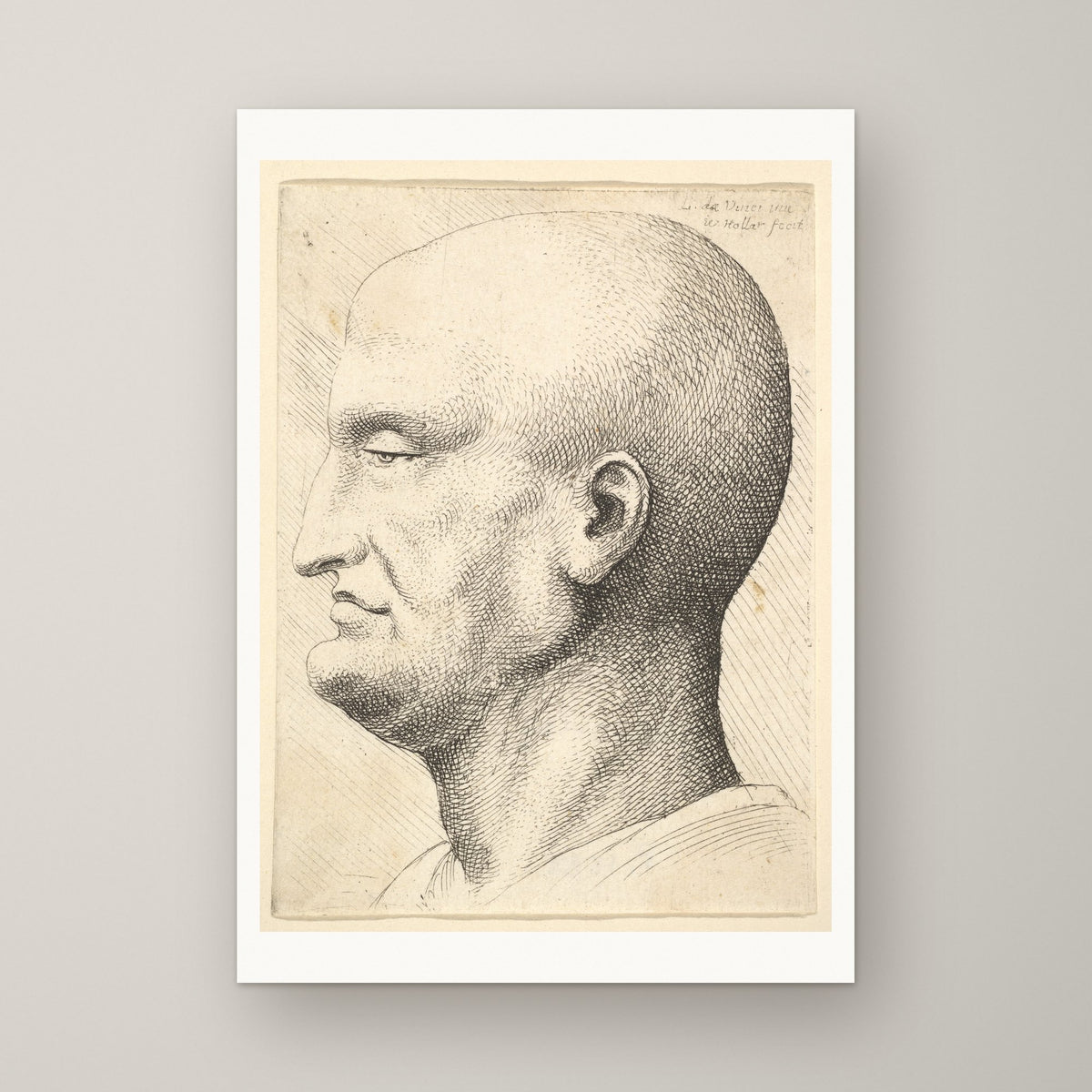 Head of a Bald Man – unframed print