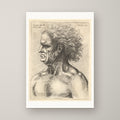 Head of a Muscular Old Man – unframed print