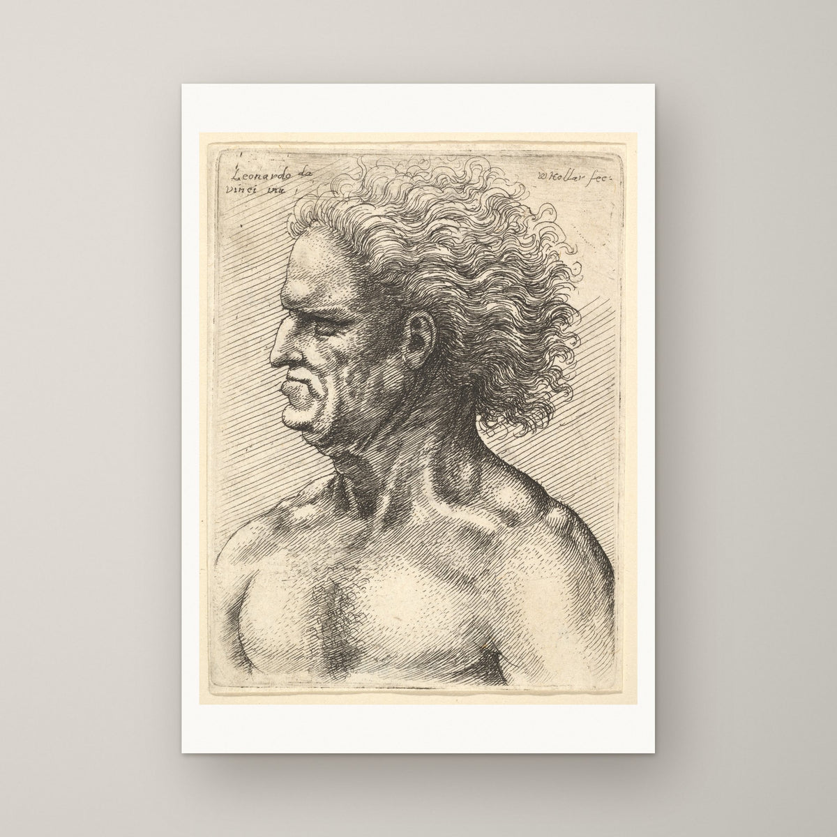 Head of a Muscular Old Man – unframed print