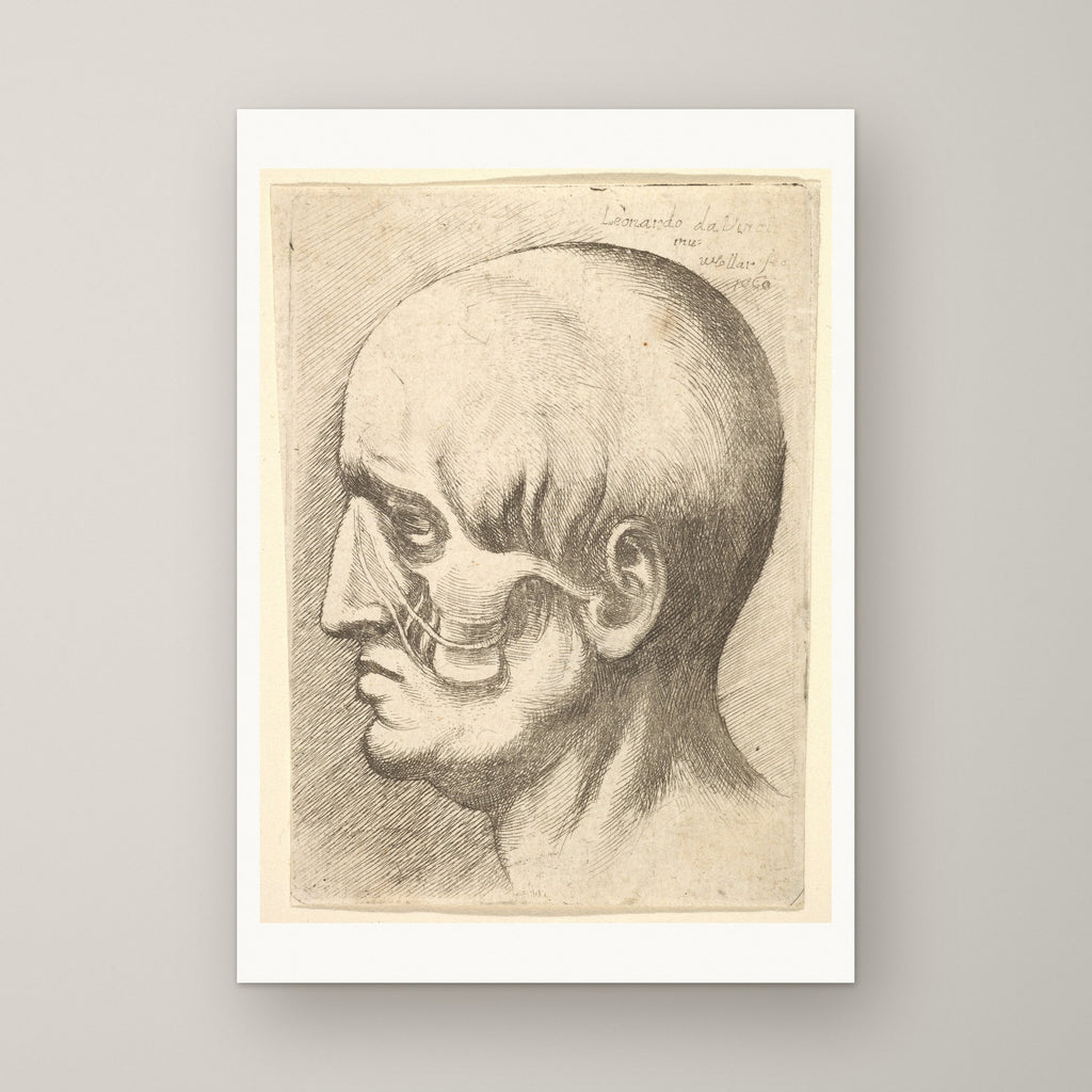 Male Head with Muscles Exposed – unframed print
