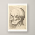 Male Head with Muscles Exposed – unframed print