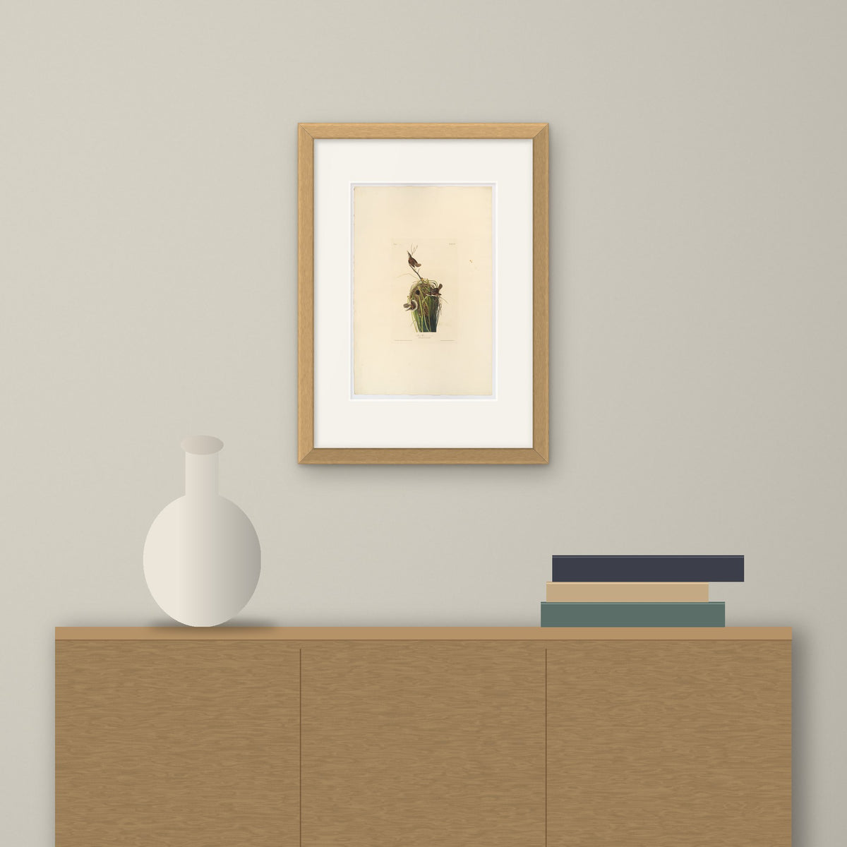 Marsh Wren – framed on a wall above a sideboard