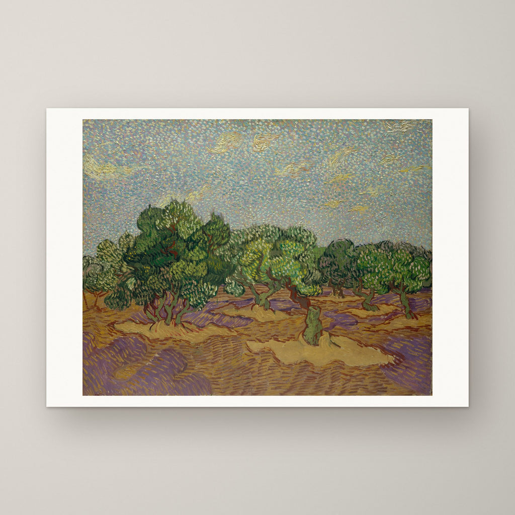 Olive Trees – unframed print
