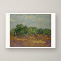 Olive Trees – unframed print