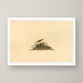 Prairie Titlark – unframed print