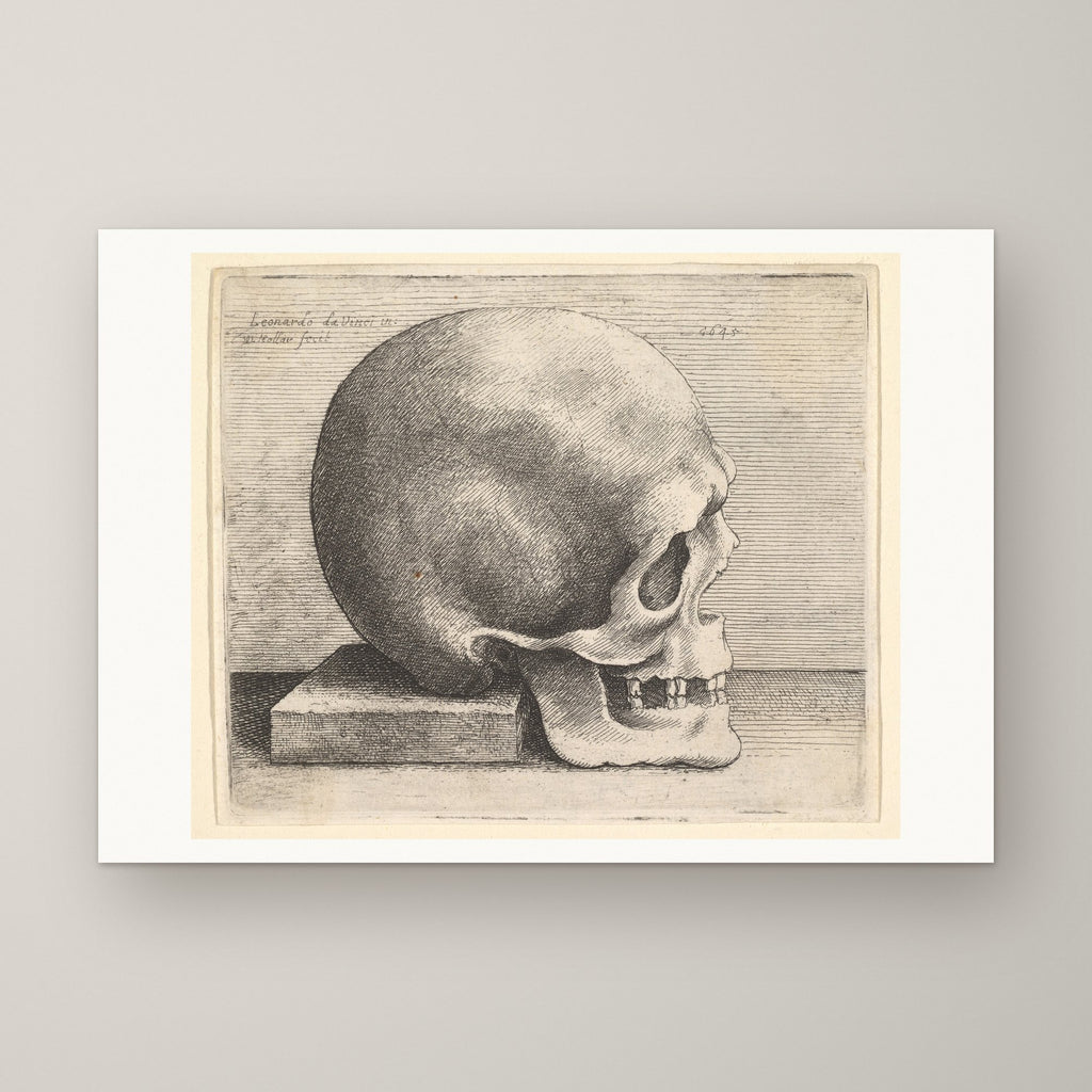 Skull in Profile – unframed print