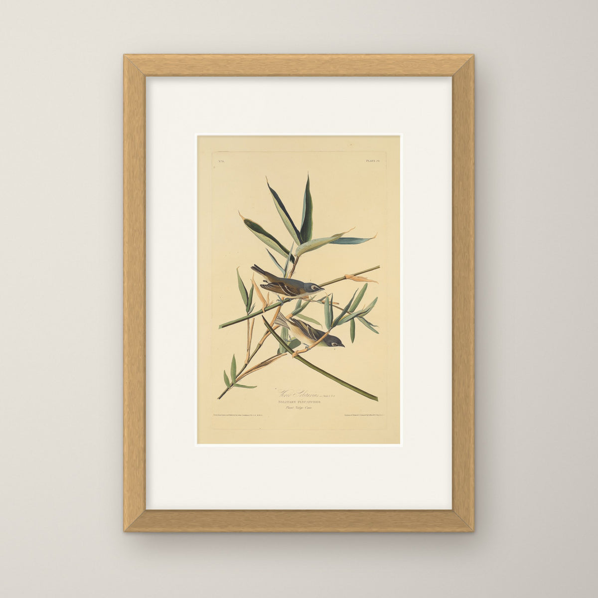 Solitary Flycatcher – in an oak frame