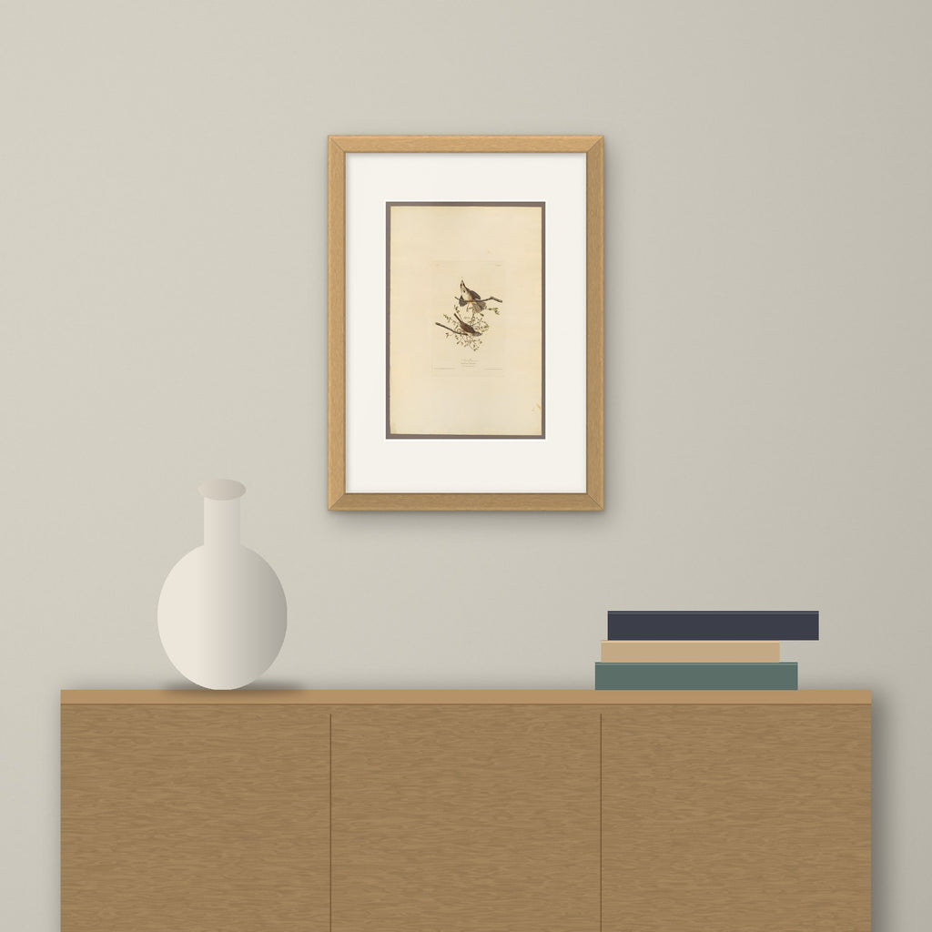 Song Sparrow – framed on a wall above a sideboard