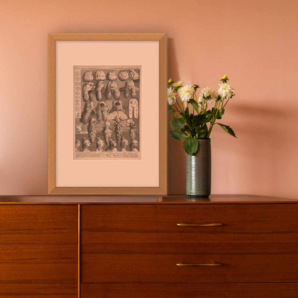 The Five Orders of Periwigs – framed in a living room