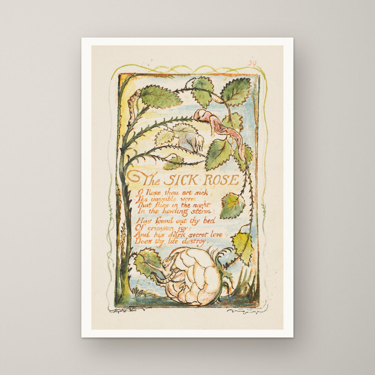 The Sick Rose – unframed print
