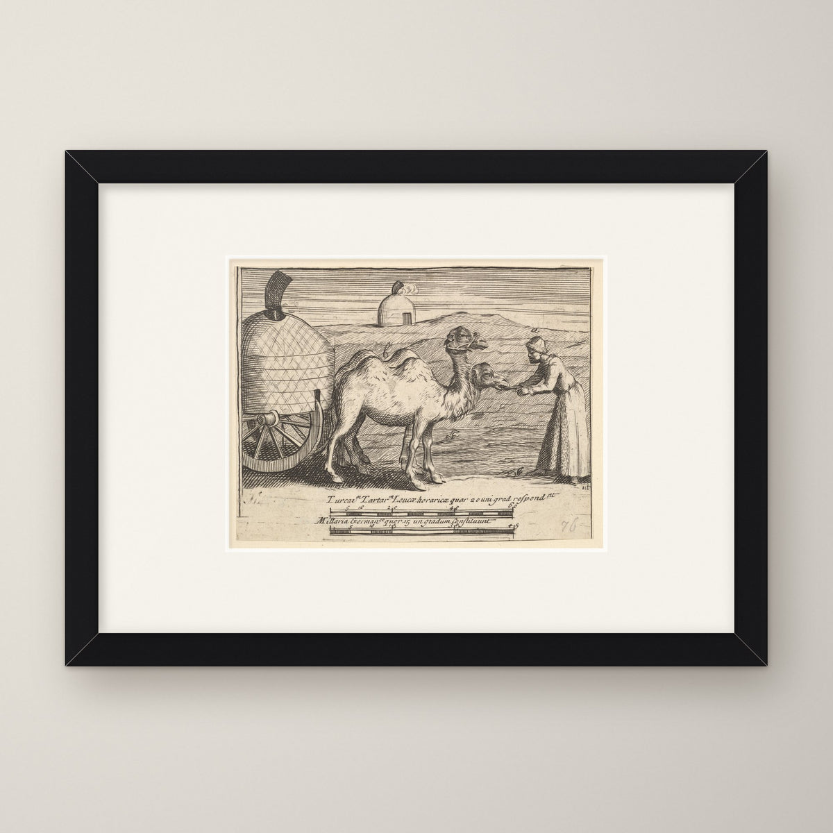 Two Dromedaries – in a black frame