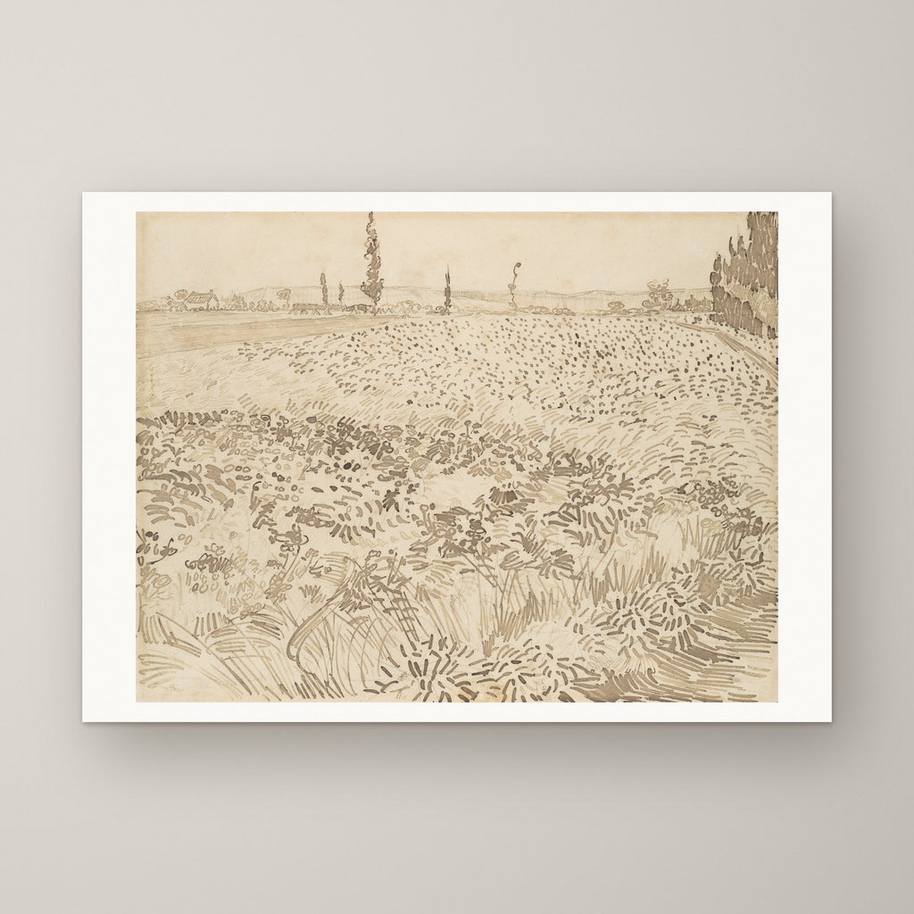 Wheat Field (drawing) – unframed print