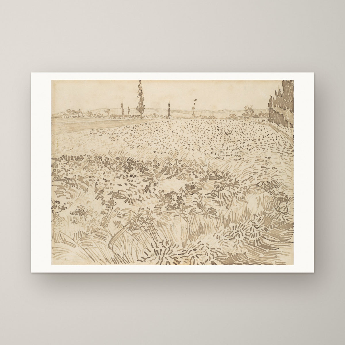 Wheat Field (drawing) – unframed print
