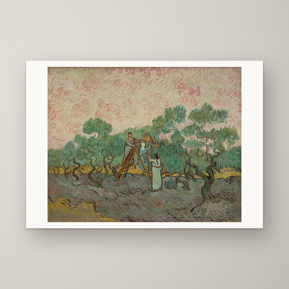 Women Picking Olives – unframed print